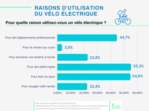 meilleur vélo électrique - en-velo-simone.fr - marché du vélo électrique en France en 2024 - Enquête et Perspectives (1)